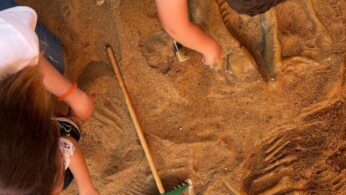 Dwoje dzieci klęczy w piasku, używając małych narzędzi do odkrywania dużych, osadzonych skamieniałości dinozaurów. Widoczne są zielone grabie i różne skamieniałe kości, w tym żebra i nogi. Scena sugeruje zabawną, edukacyjną aktywność wykopaliskową.